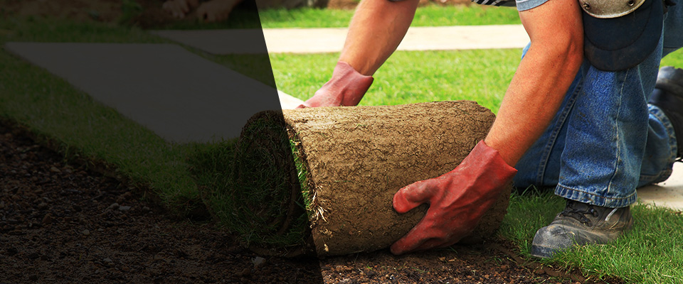 Vidalia Landscapers
